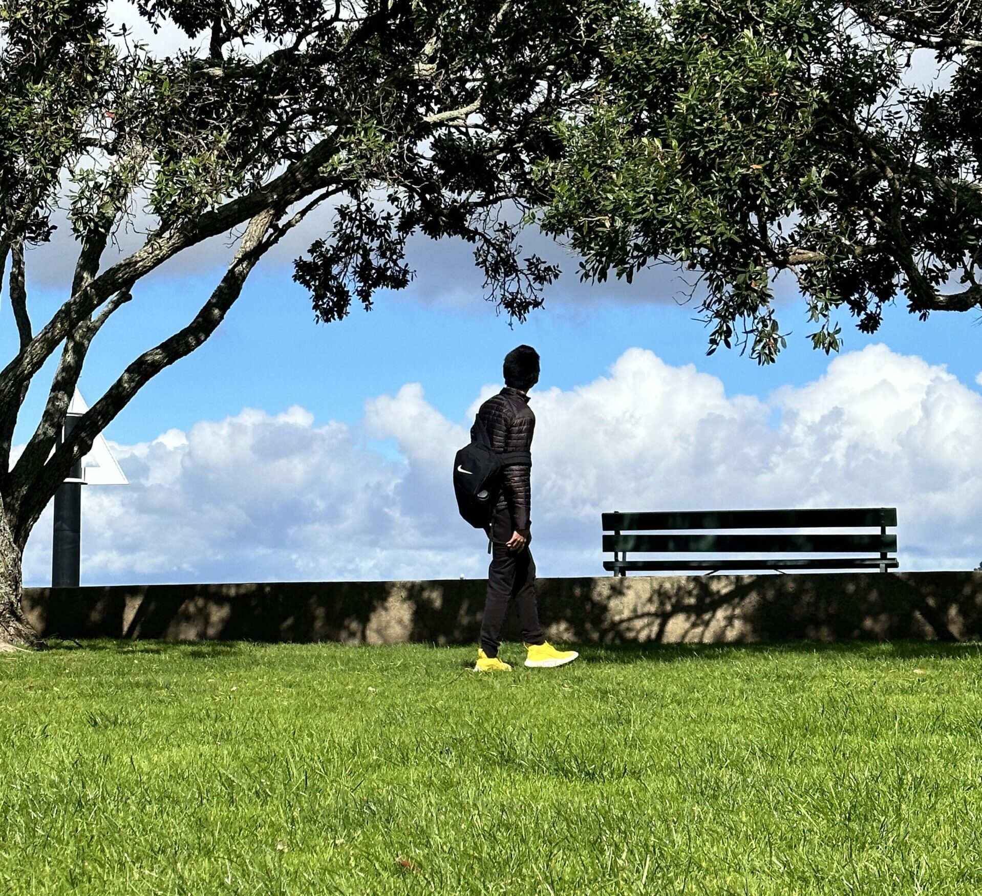 Jim的新西兰小站